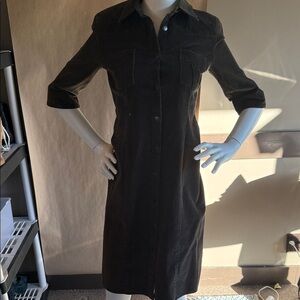 Banana Republic forest green corduroy Dress